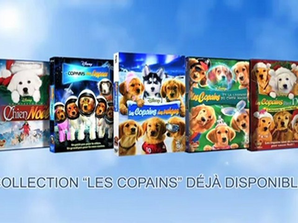 Les Copains Chasseurs de Trésors - Maintenant en DVD