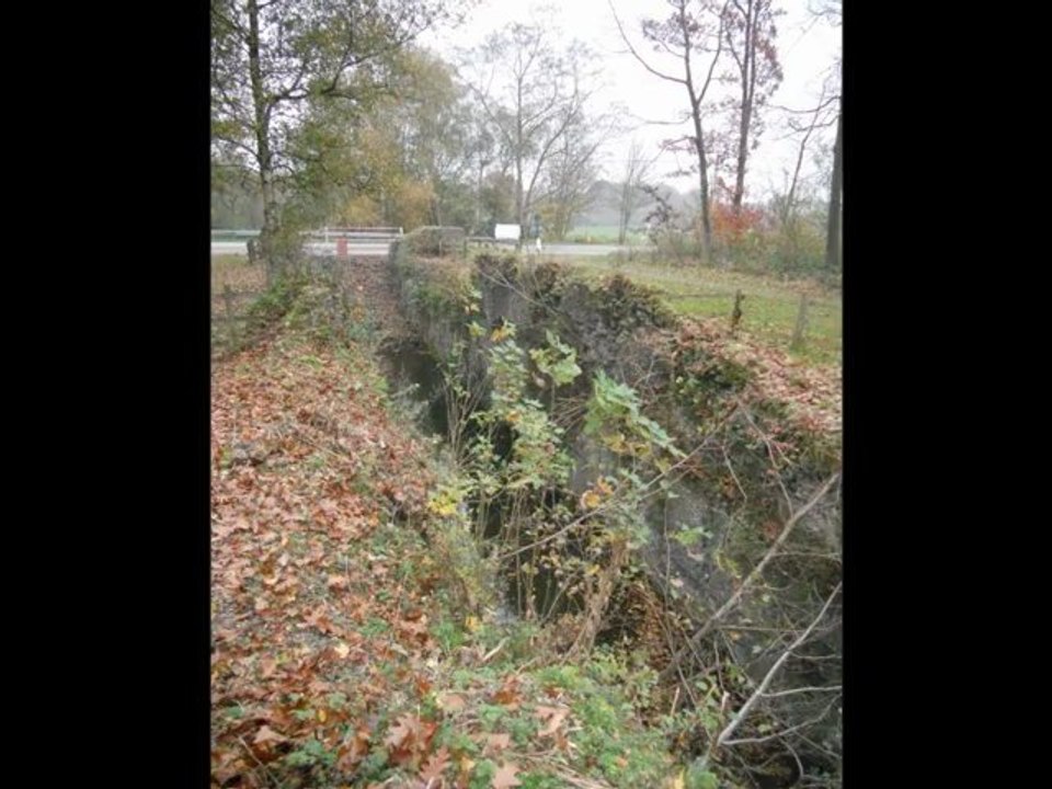 WANDELING PALINGBEEK