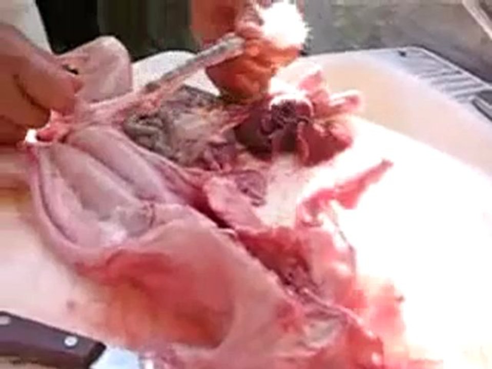 How to 1 Kill & Prepare a Rabbit