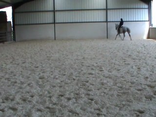 16.04.12 ceed et eed sur diagonale au trot M2U02760