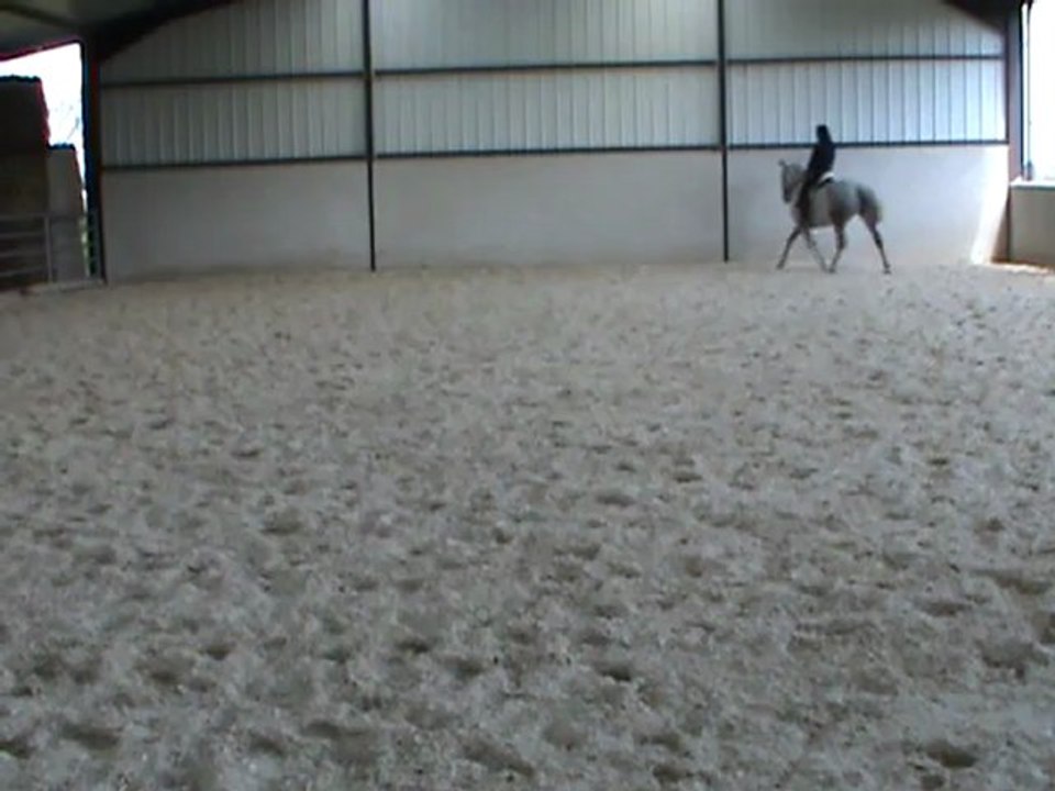 16.04.12 ceed et eed sur diagonale au trot M2U02760