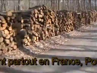 Déforestation à Verrières le buisson 91
