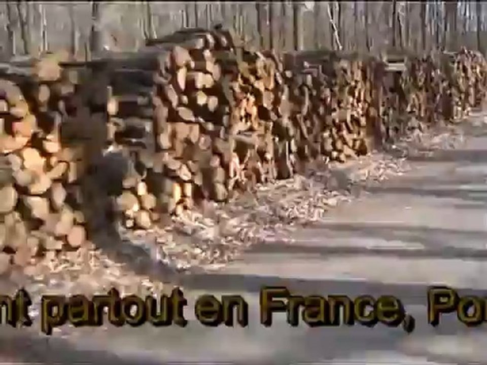 Déforestation à Verrières le buisson 91