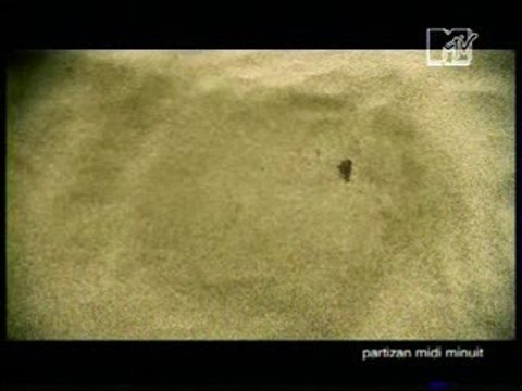 Noir Desir - Le vent nous portera