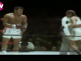 AVRUPA'NIN YARATICI REKLAMLARI- 372