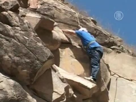 Чеченские ученые обнаружили яйца динозавров