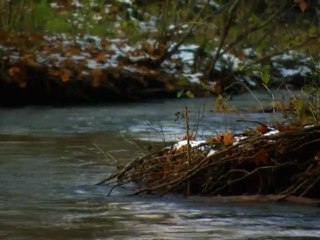 Sujet 2- Le SAGE, lieu de concertation