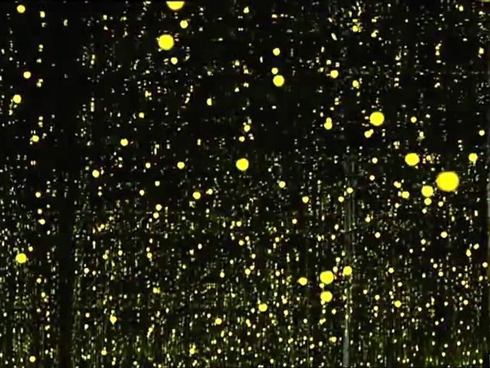 Mémoire de l'exposition Yayoi Kusama