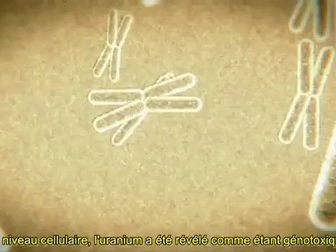 Uranium appauvri - Lorsque la poussière retombe