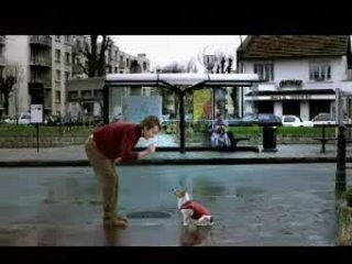 pub umbro football (chien)