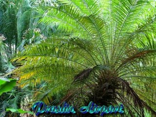 Seychelles / Praslin Airport