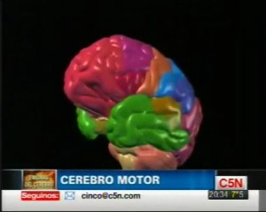 Cerebro: El sistema motor (Facundo Manes)