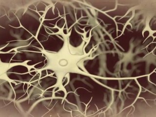 Cervell: Adiccio al menjar greixos (Dopamina)