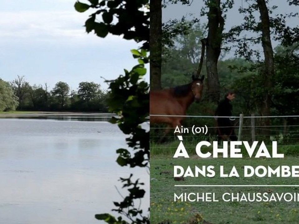 Cheval dans la Dombes, le coup de cœur de Michel - Bienvenue chez vous !