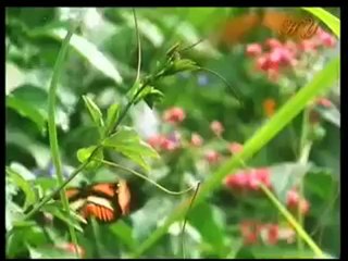 SONSUZLUK BAŞLAMIŞ DURUMDA