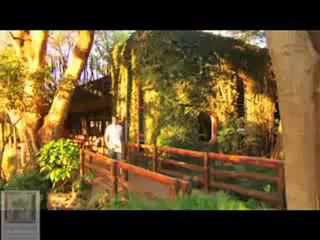 Savannah Adventures - Agence de voyage - Safari Kenya Tanzanie Ouganda