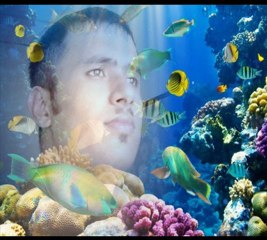 sanupoudel gorkha - chanbari