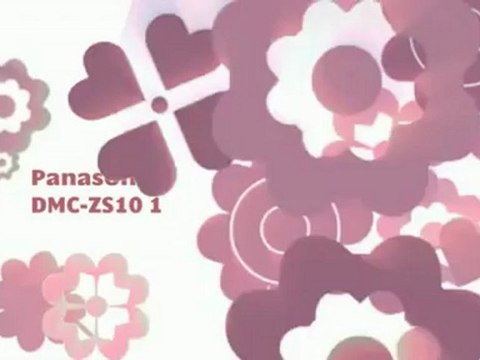 Best Price Review - Panasonic Lumix DMC-ZS10 14.1 MP ...