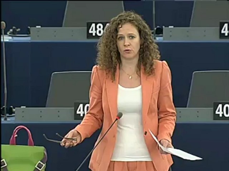 Sophia in 't Veld on EU-USA agreement on use and transfer of PNR to US Homeland Security