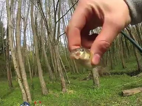 week end se pâques chez Fx