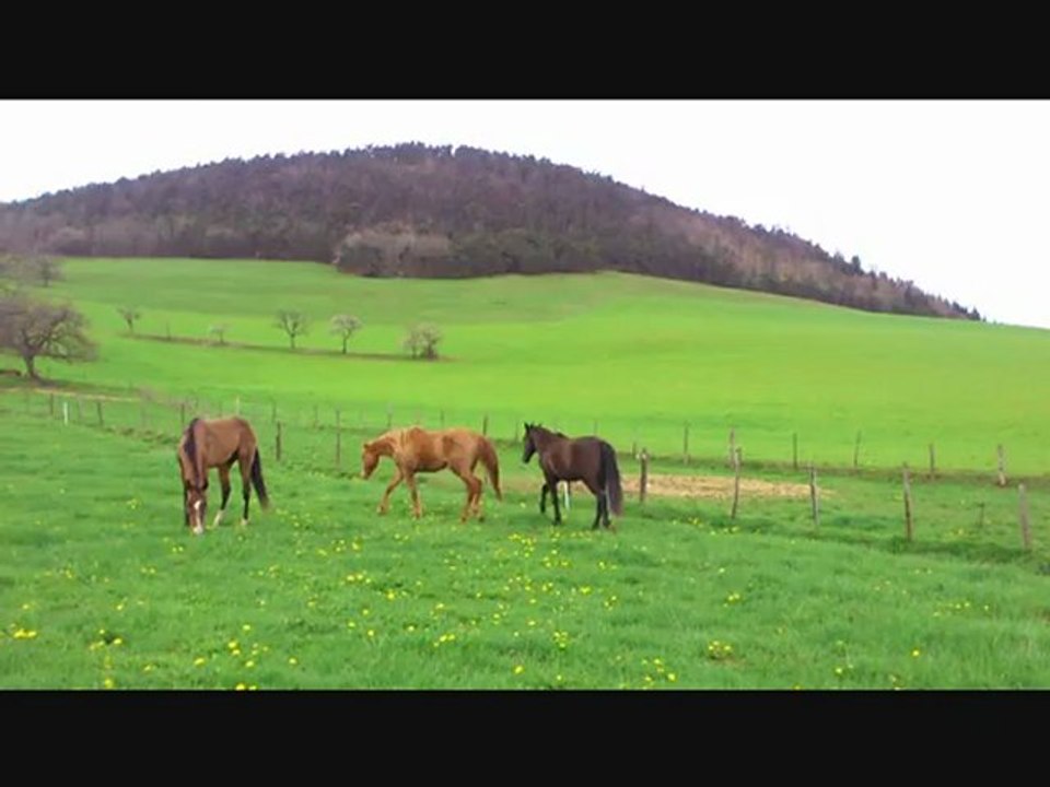 Ayzar, Arslan et Vepalylyk