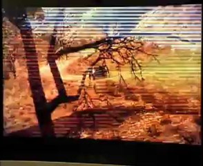 ES Silves, Rallye du Portugal sur WRC2 PS3