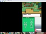 Pokemon Heart Gold [USA] NDS 3DS ROM Download Game 2012