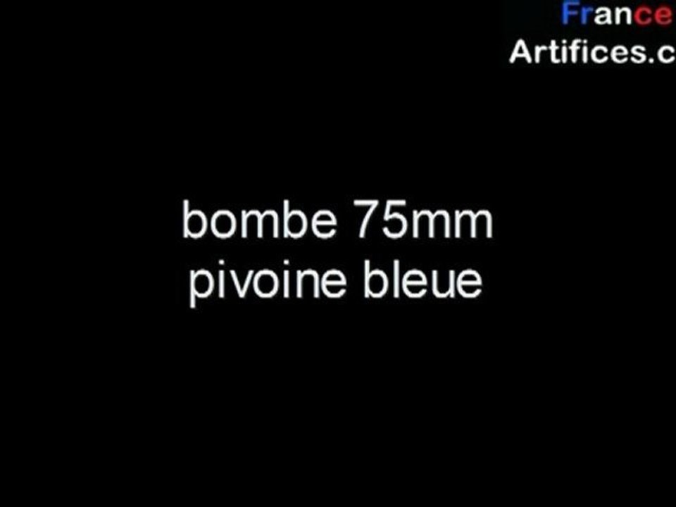 bombe 75mm pivoine bleue
