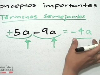 Conceptos importantes de los polinomios - HD