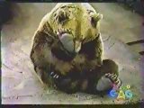 blowjob