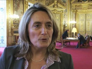 [Entretien] Présentation de la mission commune d'information sur les pesticides