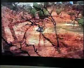 ES Silves 2, Rallye du Portugal sur WRC PS3