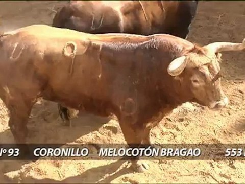 SORTEO TOROS DEL VENTORRILLO PARA SEVILLA 19 ABRIL
