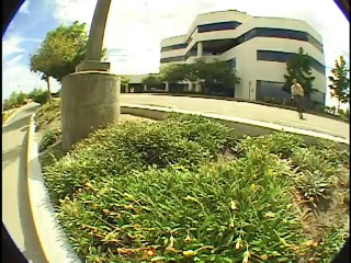 Monday Edit: Jake High Desert Tumbleweeds