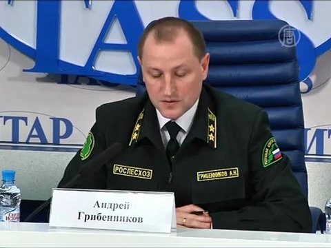 Лесные пожары охватили Сибирь