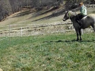 defis 13 ethol horse