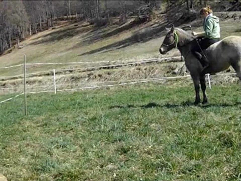 defis 13 ethol horse