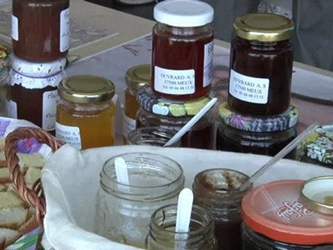 Vignes et saveurs en Haute-Saintonge