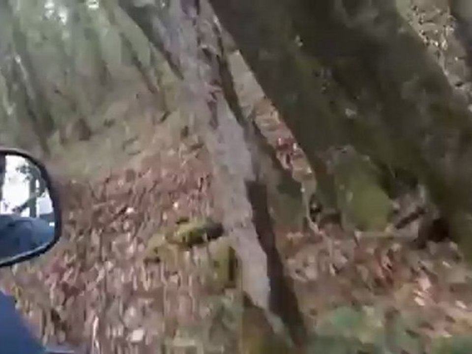 rando simple mussy 2012