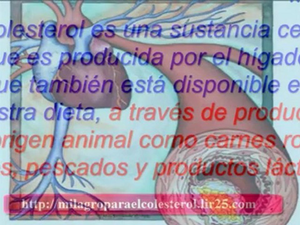que es el colesterol hdl - alimentos para el colesterol - remedio para el colesterol