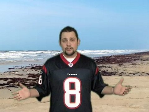 Houston Apartment Living Guide - Houston Apartments For Rent