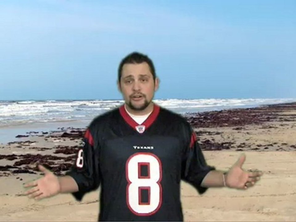 Houston Apartment Living Guide - Houston Apartments For Rent