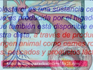 colesterol tratamiento natural - comida para reducir el colesterol- bajar colesterol