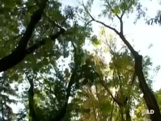 Noticias en Libertad Madrid 2ª ed. - 18/03/08