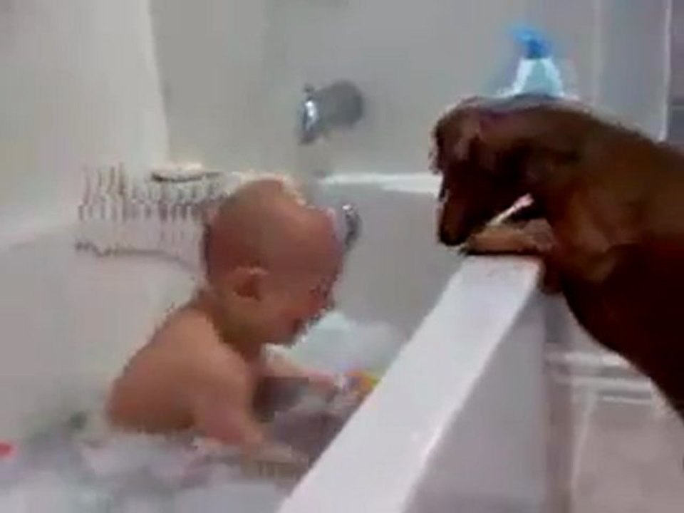 baby and the dog