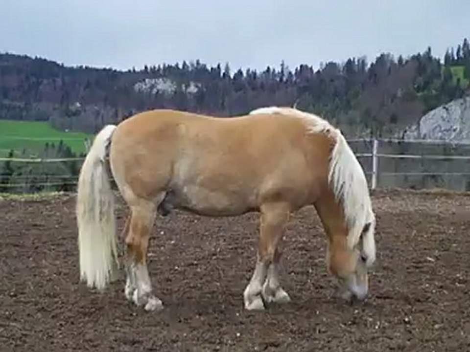 Valentin