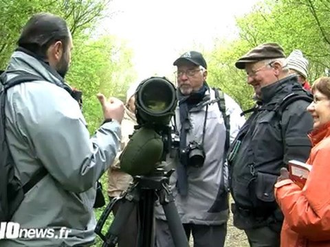 Sorties ornithologique à Bruyères sur Oise