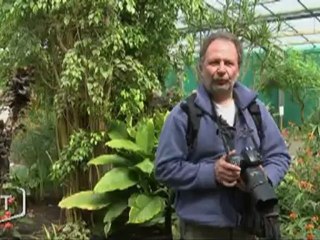 Evasion sur l’Ile aux Papillons ! (Vendée)