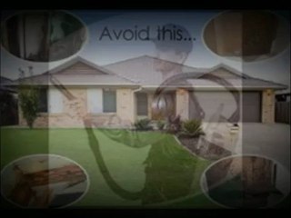 Termite Control Temecula CA