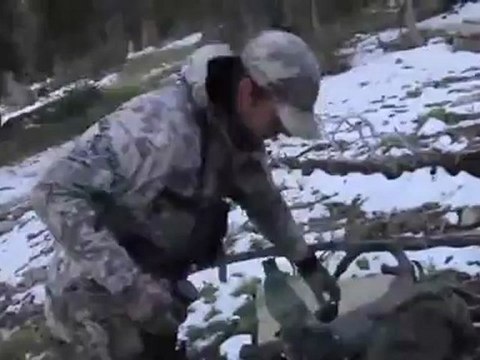 Live Hunt: Montana Elk Hunt Stalking